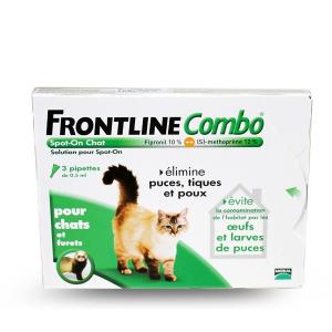 FRONTLINE COMBO CHAT