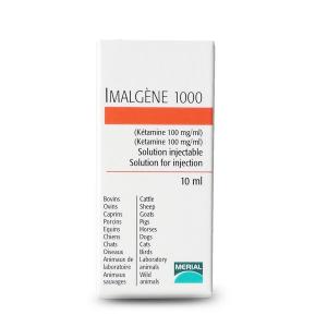 IMALGENE 1000