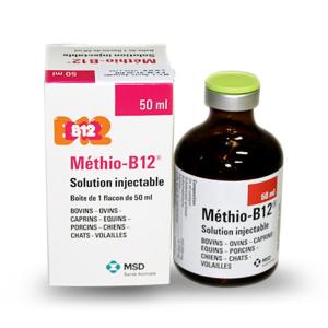 METHIO-B12