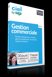 gestion commercial
