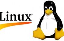 Linux ou GNU/Linux